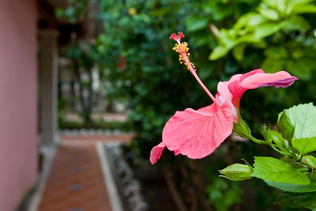 Cabanas Maria Del Mar Исла Мухерес Екстериор снимка